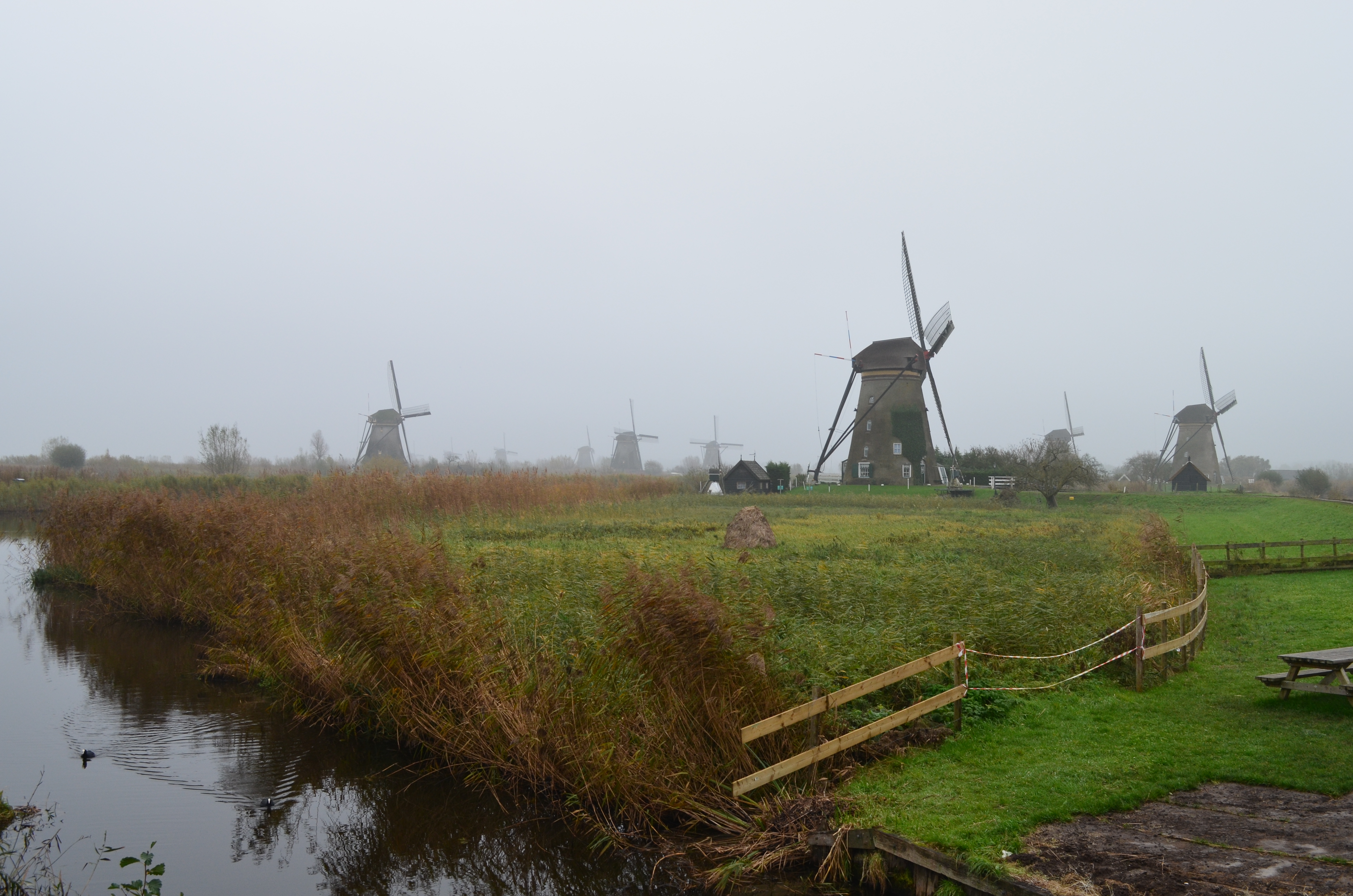 ./2017/19 - Viking Lif/12 - Kinderdijk, The Netherlands/DSC_0328.JPG